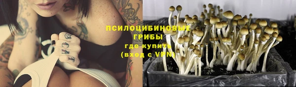 МДМА Алексеевка