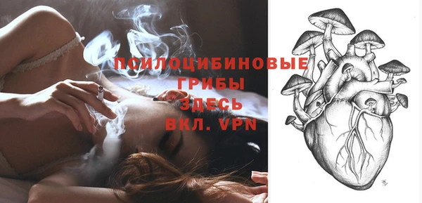spice Алексин