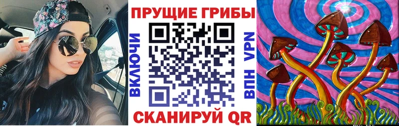 Галлюциногенные грибы MAGIC MUSHROOMS  даркнет формула  Нурлат 