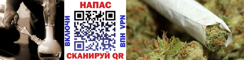 Канабис сатива Нурлат